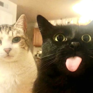 [Trap]BOBBYNOPEACE X SASIOVERLXRD Type beat - 示爱