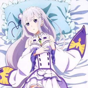 RE:0（无畏的勇士）