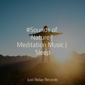 Cresting Emerald Secrets