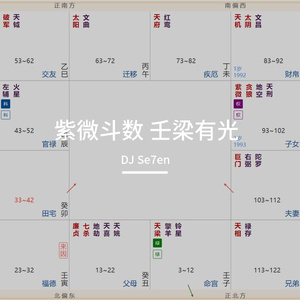 紫微斗数 壬梁有光