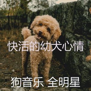 有趣幼犬情怀