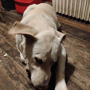 sad in a min // Mint Hill NC