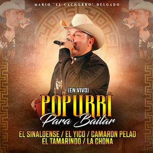 Popurrí para Bailar: El Sinaloense / El Yico / Camarón Pelao / El Tamarindo / La Chona (En Vivo)