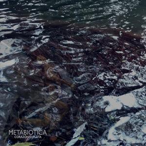 Nyumbani (Radio Edit )