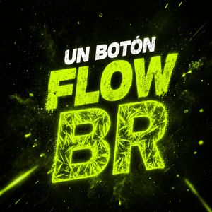 UN BOTÓN FLOW BR