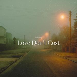 Love Don't Cost