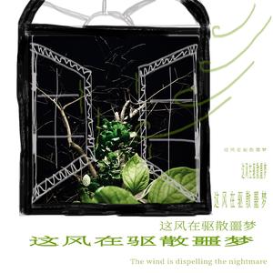 这风在驱散噩梦 伴奏