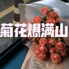 制胜无限速 (旋风版)