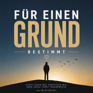 Für einen Grund bestimmt (Special Version)