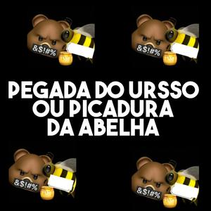 VOÇE QUER A PEGADA DO URSO OU A ABELHA