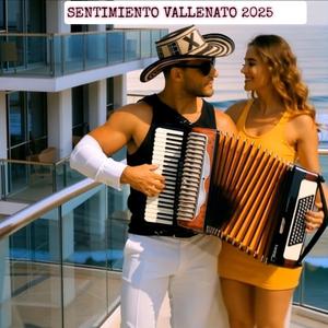 Demasiado Tarde (Pawlo-X Remix Vallenato)