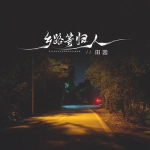 乡路等归人 (DJ默涵版)