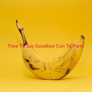 Time To Say Goodbye (Con Te Partir) (Complete version originally performed by Sarah Brightman and Andrea Bocelli)