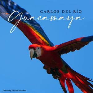 Guacamaya