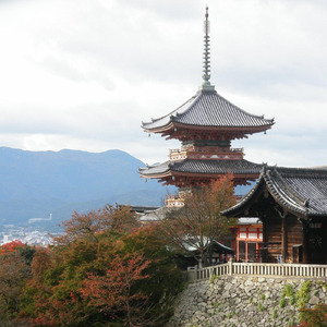 澄んだ空気を感じながら歩く美しい寺院、仏閣