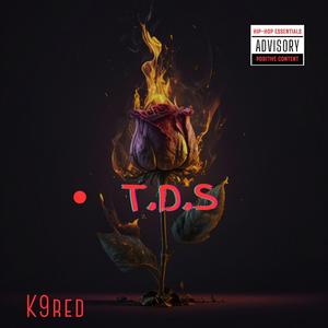 T.D.S