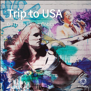 Trip to USA