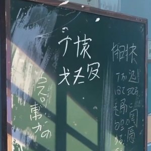 盛夏爱恋