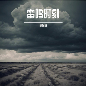 神秘森林中的宁静回响