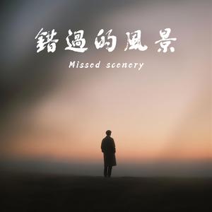 錯過的風景 (Live)