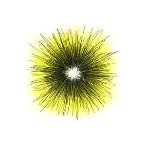 Portrait No. 4, Shining Lifeless Light