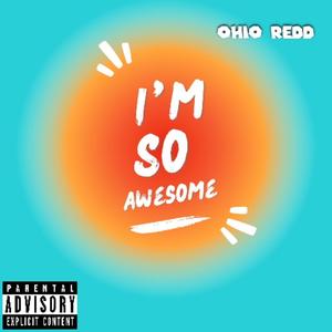 I’m So Awesome