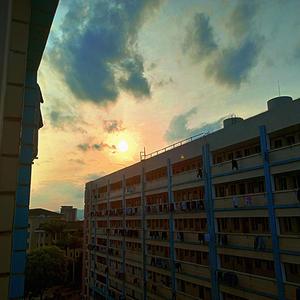 Komorebi(叶隙间洒落的阳光)(光遇钢琴)