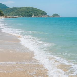 直到头上多了白发