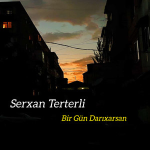 Bir Gün Darıxarsan