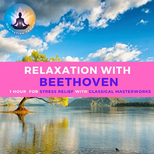 Sympohnie No.4 in B-Flat Major, Op. 60:I. Adagio - Allegro vivace