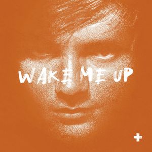 Wake Me Up