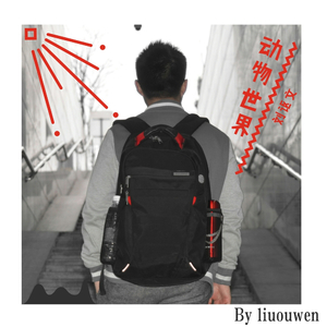 动物世界（Cover 薛之谦）
