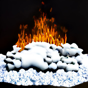 scholarly uncle took