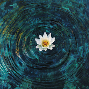 Deep Meditation for Spiritual Insight