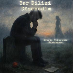 Yar Dilini Çözemedim