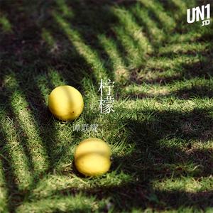 柠檬（Lemon中文版）（翻自 米津玄师）