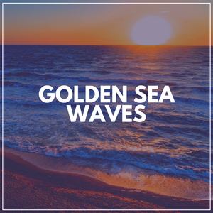 Diving Back to the Ocean