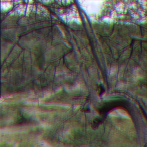 KKK Took My Three Little Birds