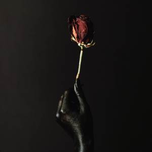 Vanish Into You (Piano Version)