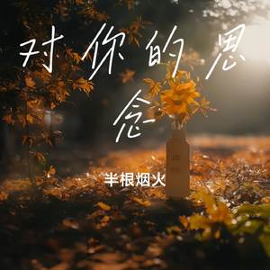 对你的思念