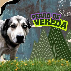 Perro de Vereda