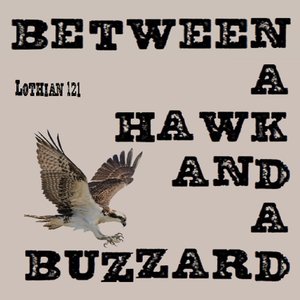 Between a Hawk and a Buzzard
