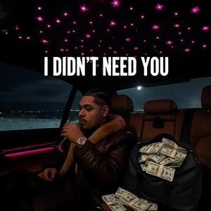 I DIDN'T NEED YOU