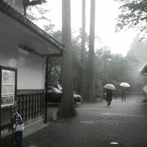 面对面隔着银河系的距离