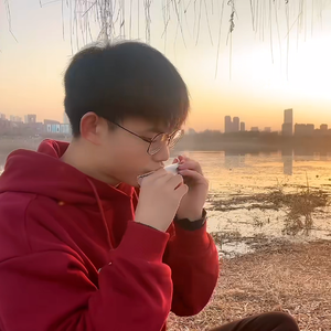 张三的歌 口琴版