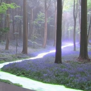 克林索尔¼夏天