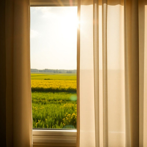 Окно в лето