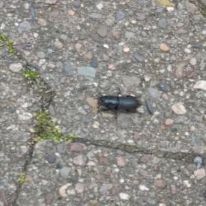 Beton verzeiht nichts