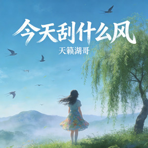 今天吹什么风