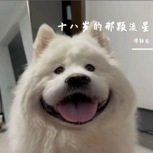 十八岁的那颗流星